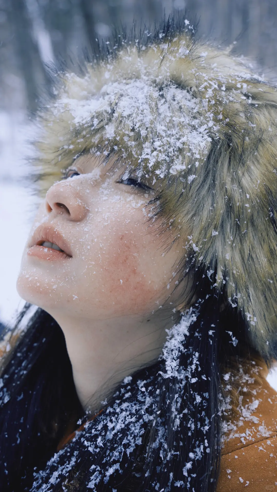 全屏观看冬日写真集