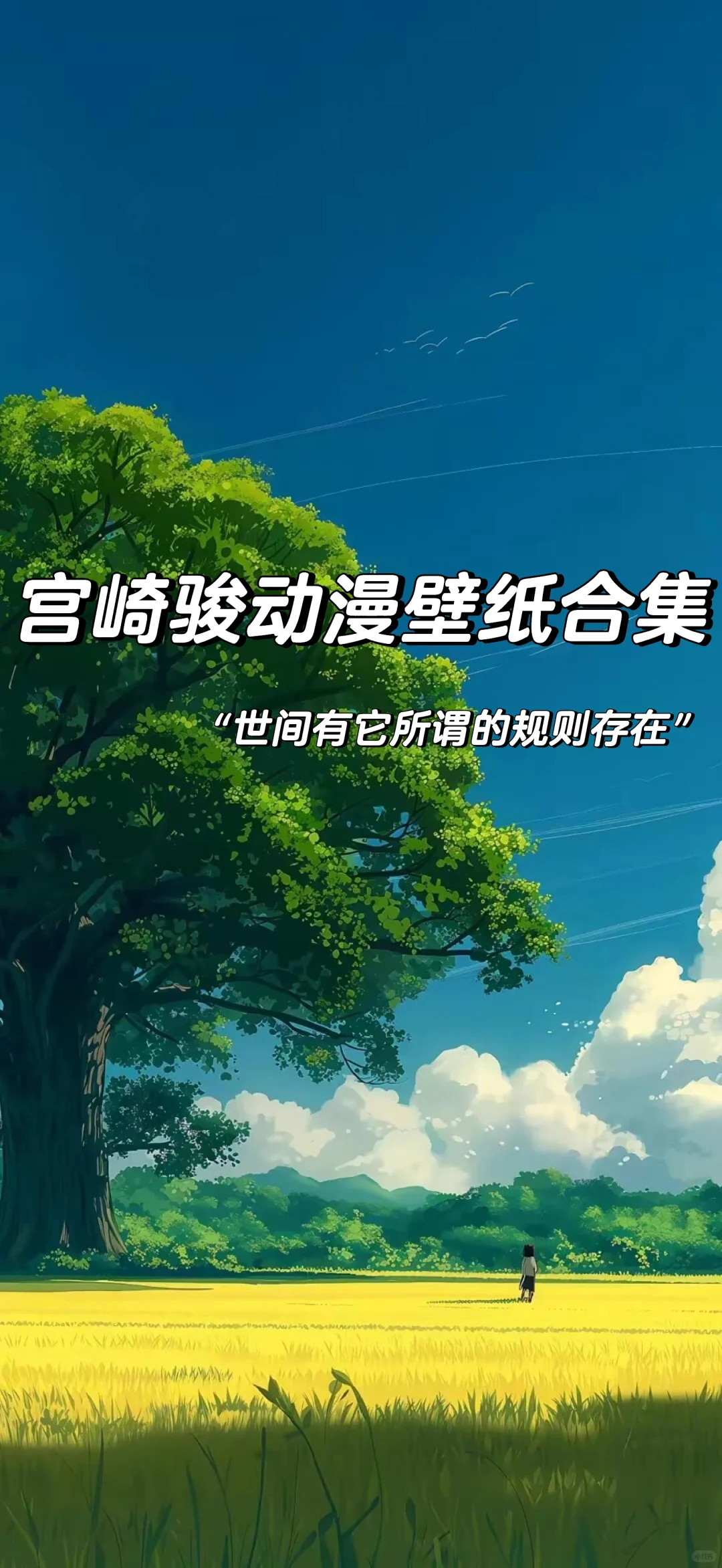 宫崎骏动漫壁纸推荐