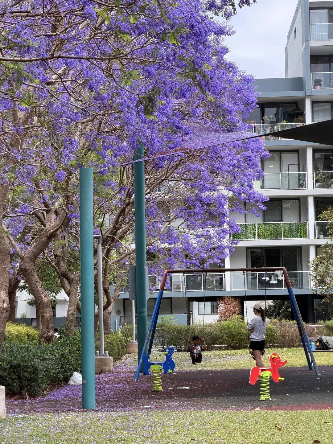 🇦🇺跑步日记