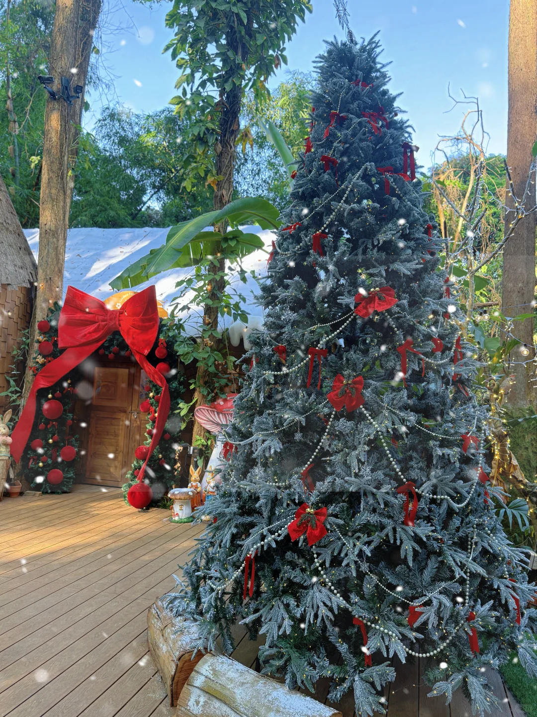 🎄圣诞氛围已拉满…