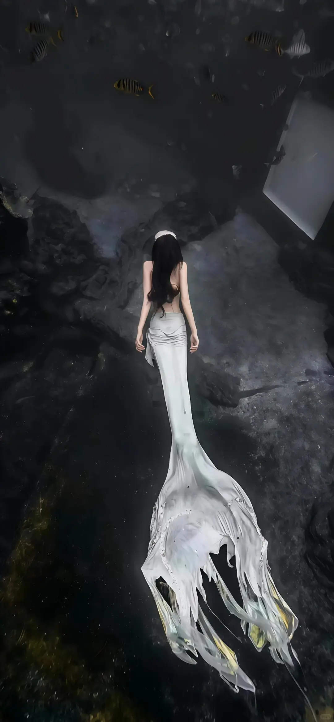 𝙒𝙚𝘾𝙝𝙖𝙩|小众壁纸