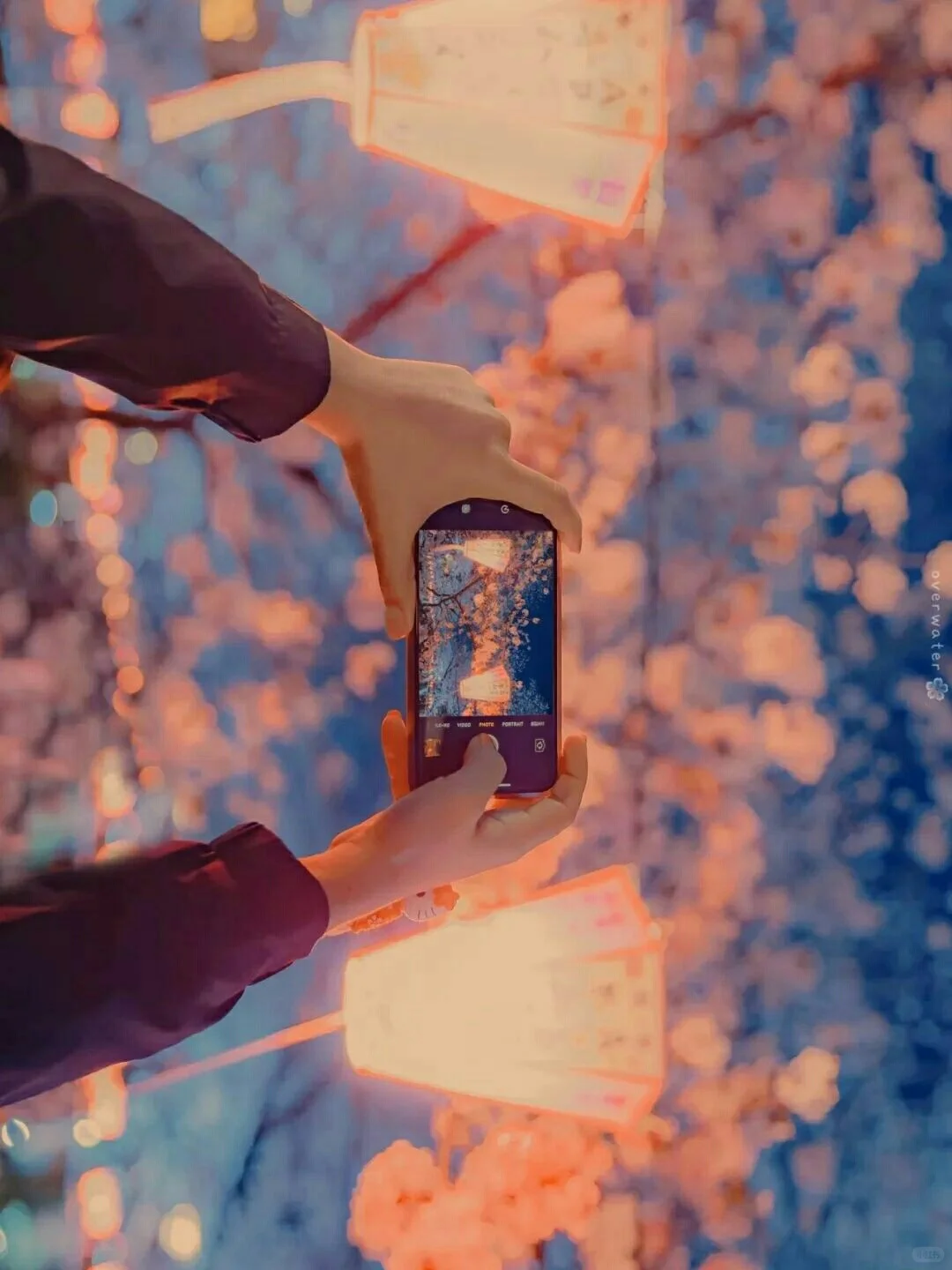 浪漫樱花系列壁纸『上』