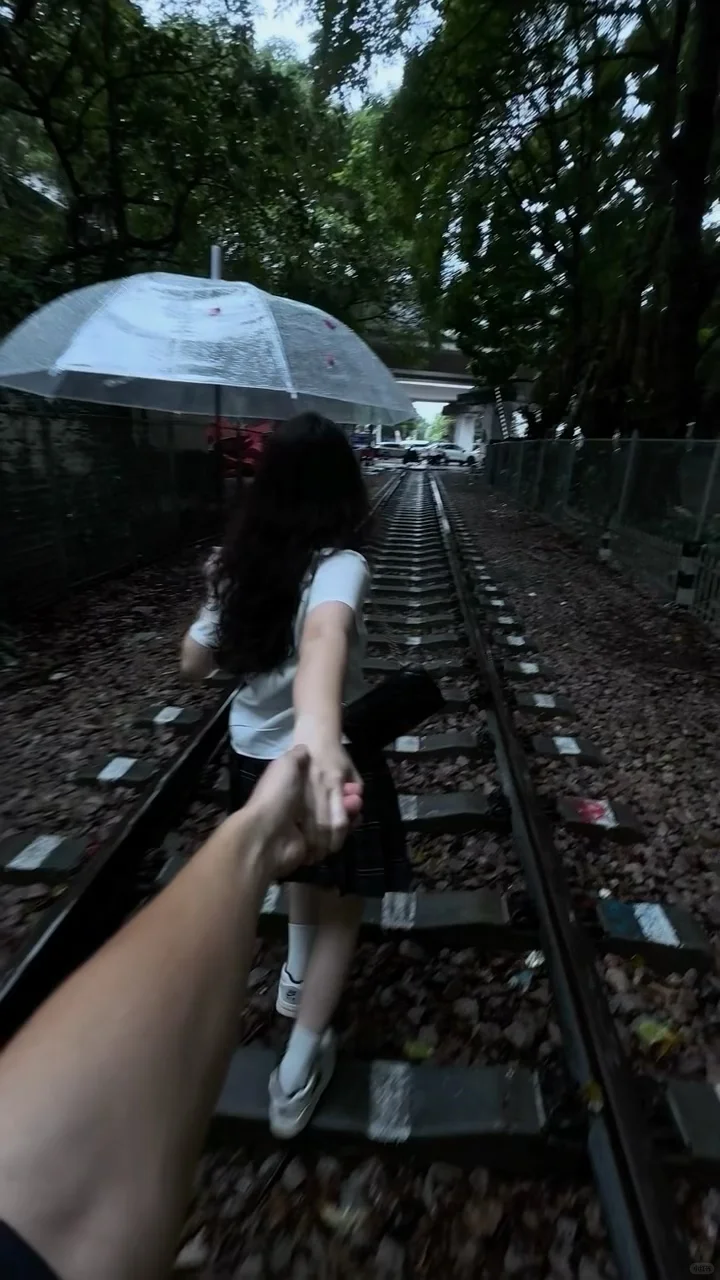 𝗪𝗲𝗖𝗵𝗮𝘁｜动态壁纸