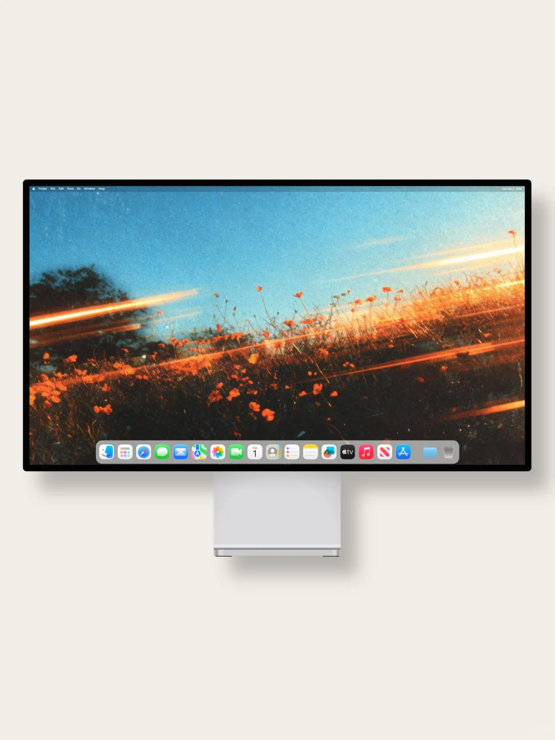 壁纸 | 在余晖的滤镜里绽放