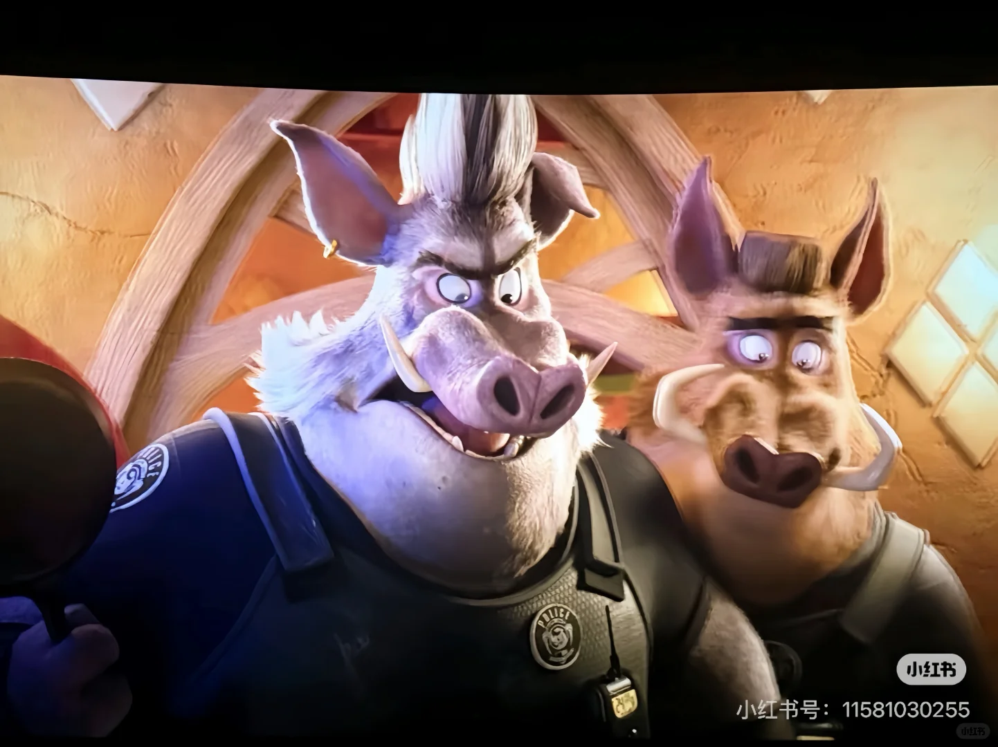 《疯狂动物城2》讲了一个“女本位”的故事