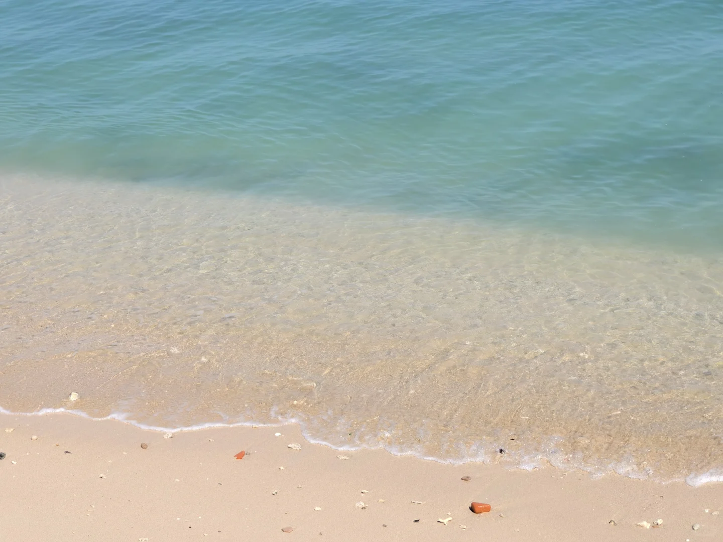 don't be shy, just try 😉