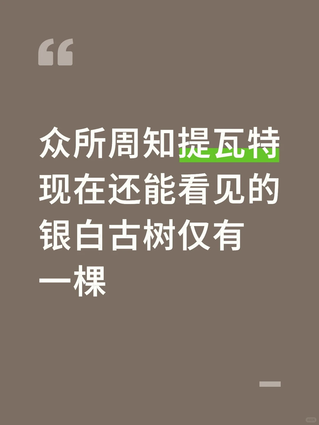 杜林龙血浇灌下复活的忍冬树