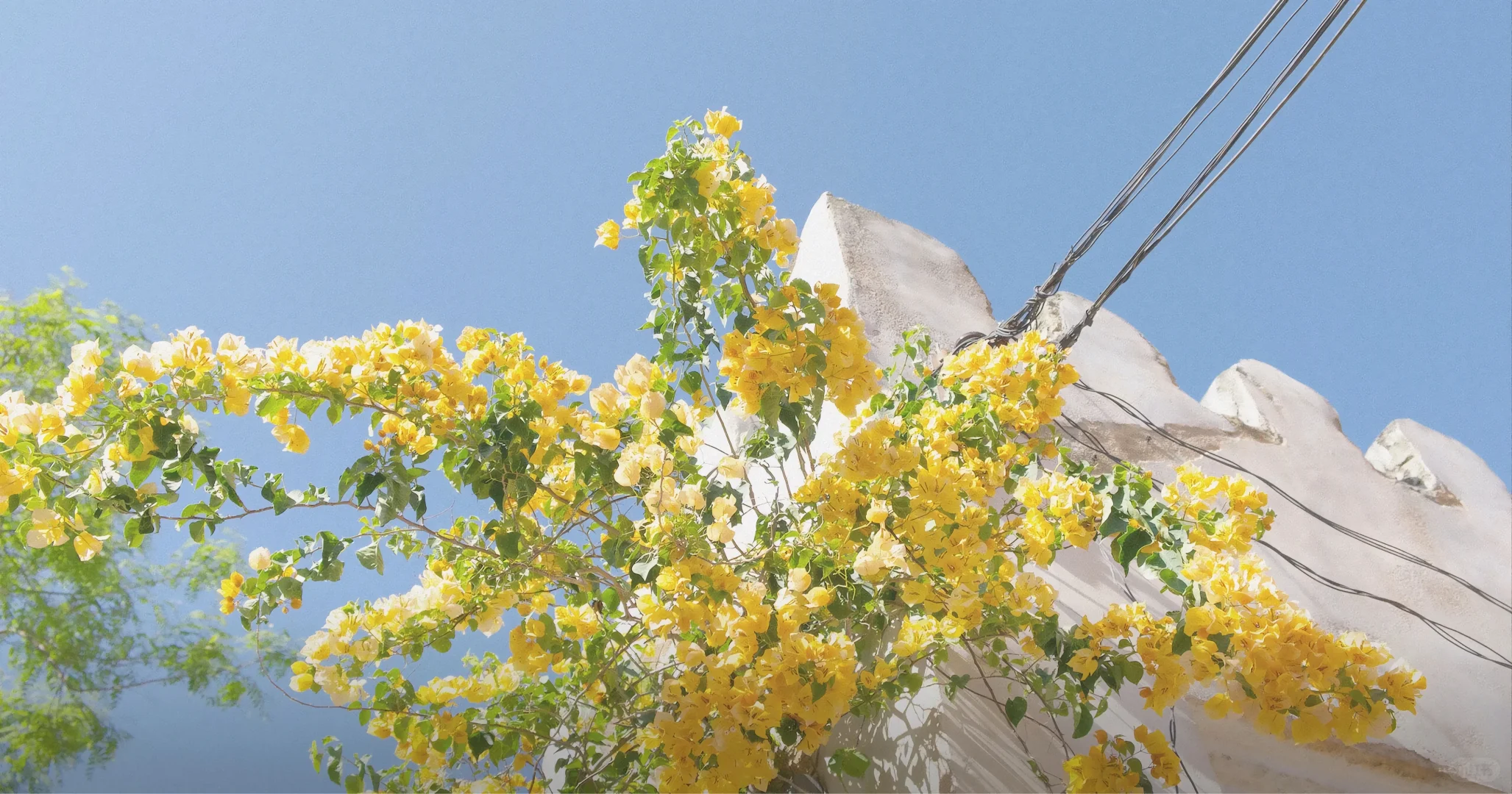 IPAD高清壁纸 | 充满希望的春日壁纸