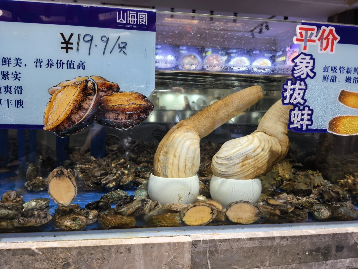 名古屋家族滞在签证