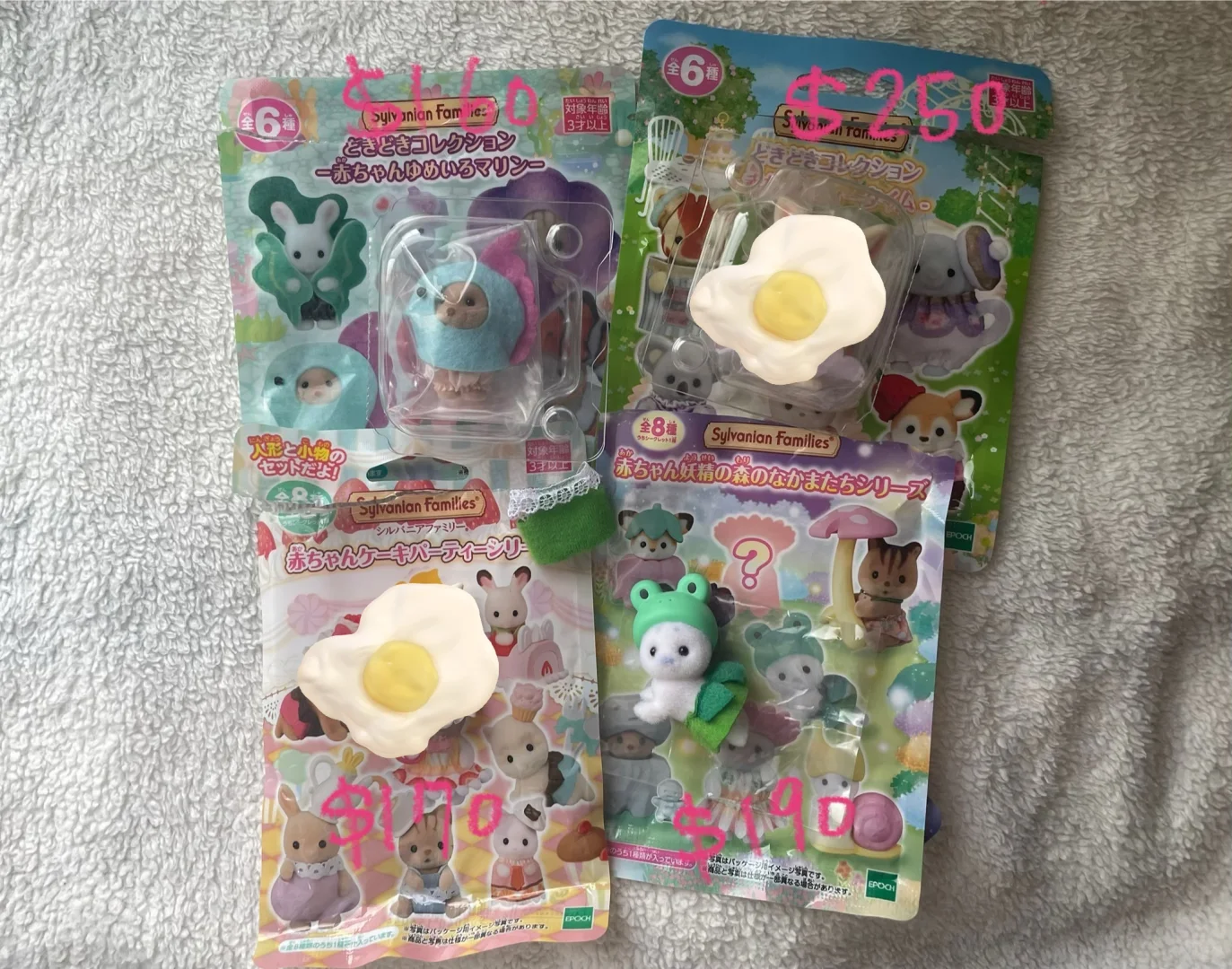 台灣出森林家族！