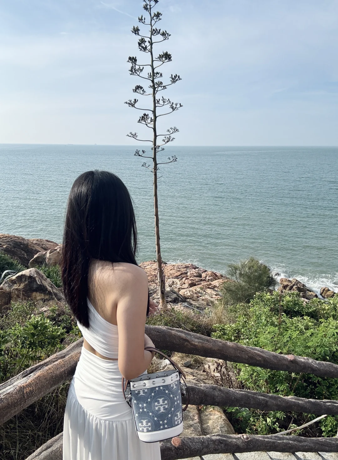 🏝️ 𝑺𝒆𝒂𝒔𝒊𝒅𝒆 𝒅𝒊𝒂𝒓𝒚˚ ⊹