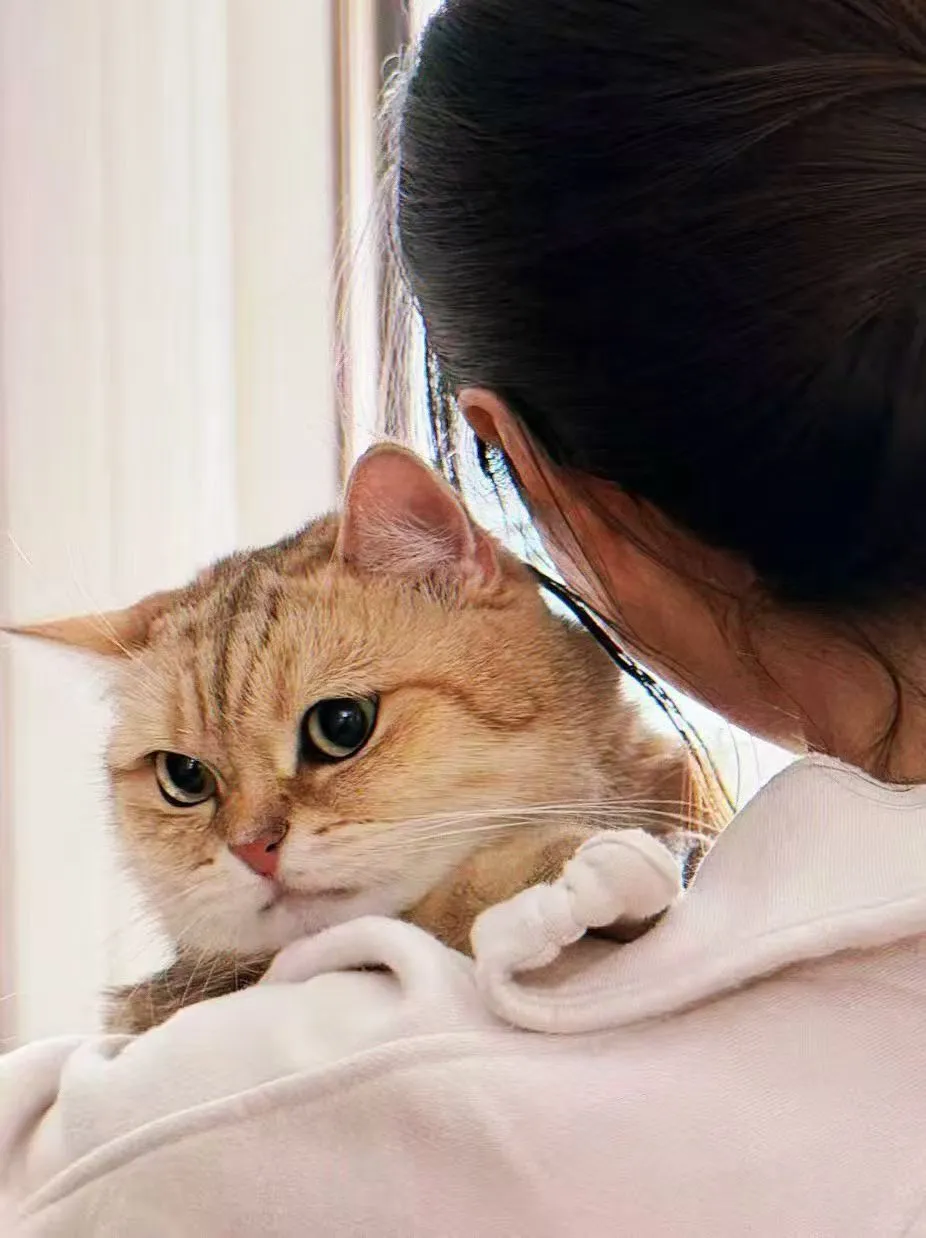 这样的女友 你几点回家