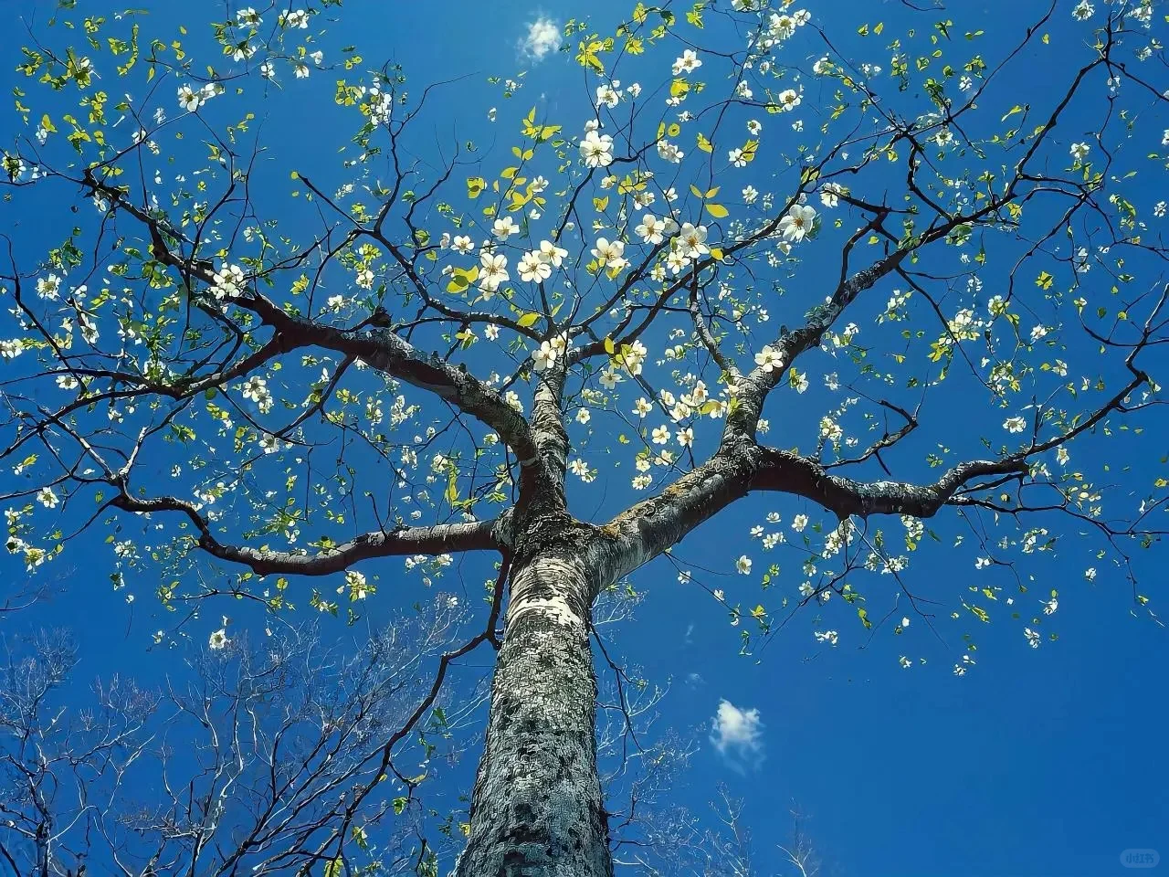 Share｜超高清电脑壁纸