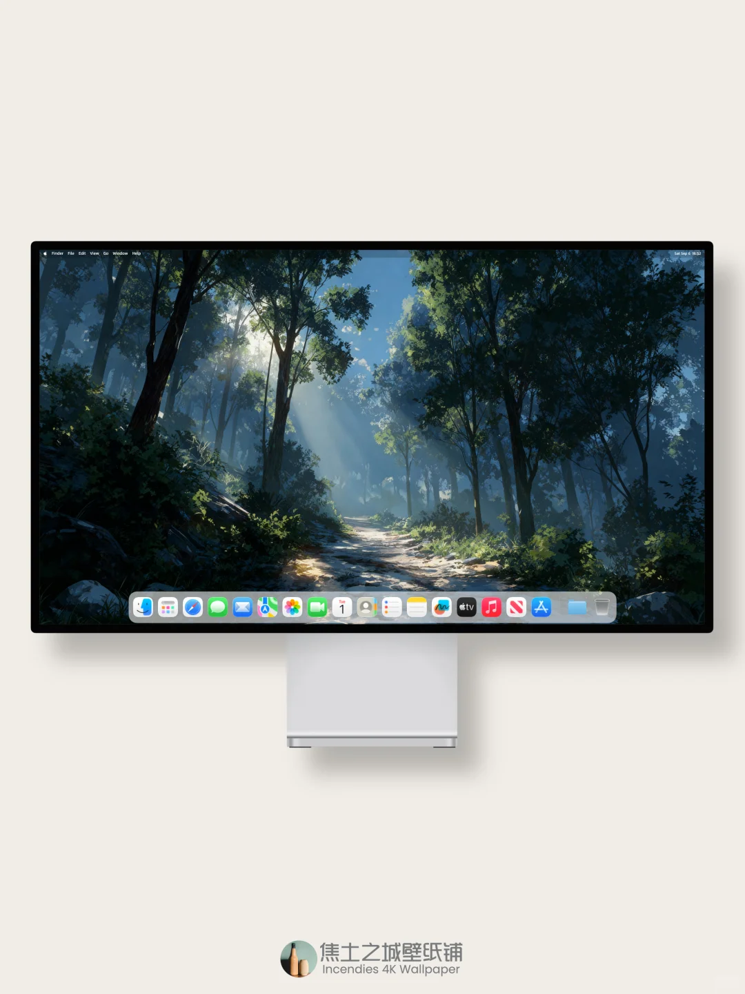 壁纸 | 阳光洒满静谧的森林