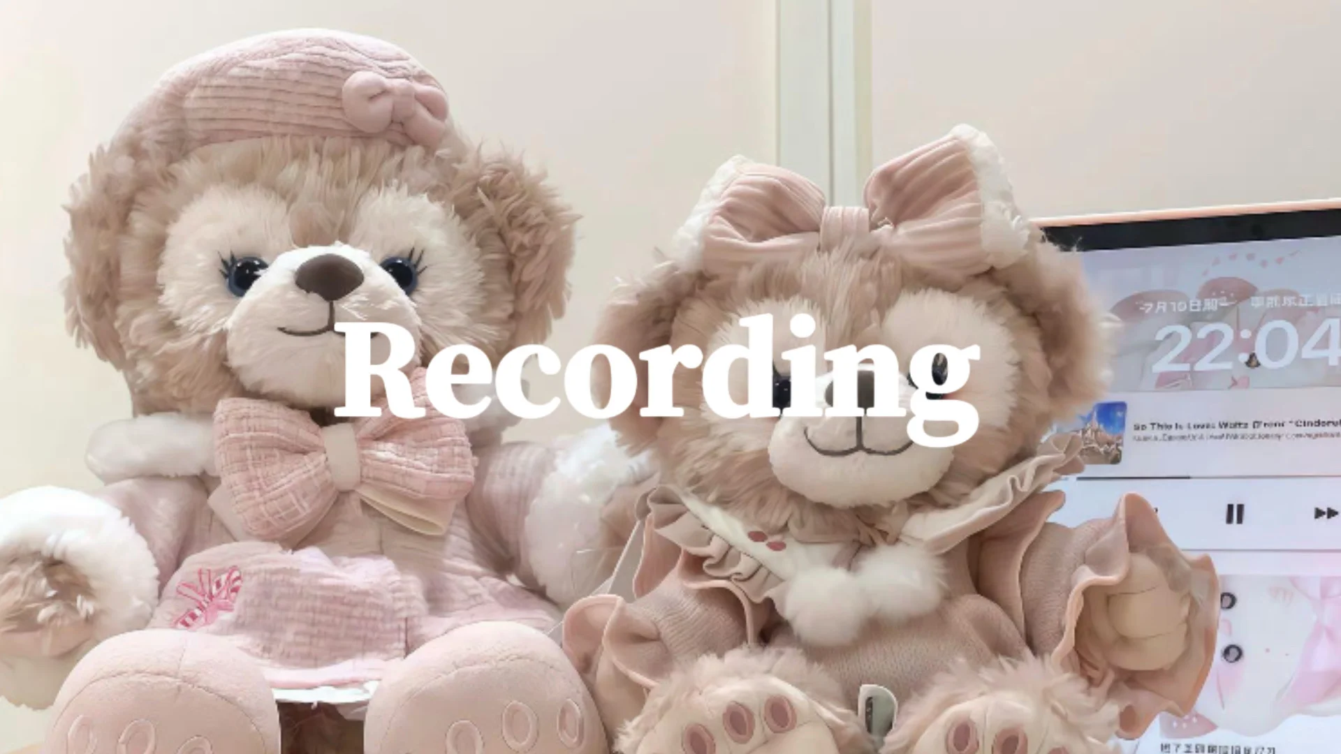 plog｜96🐭｜share一波爱用💕💻壁纸叭