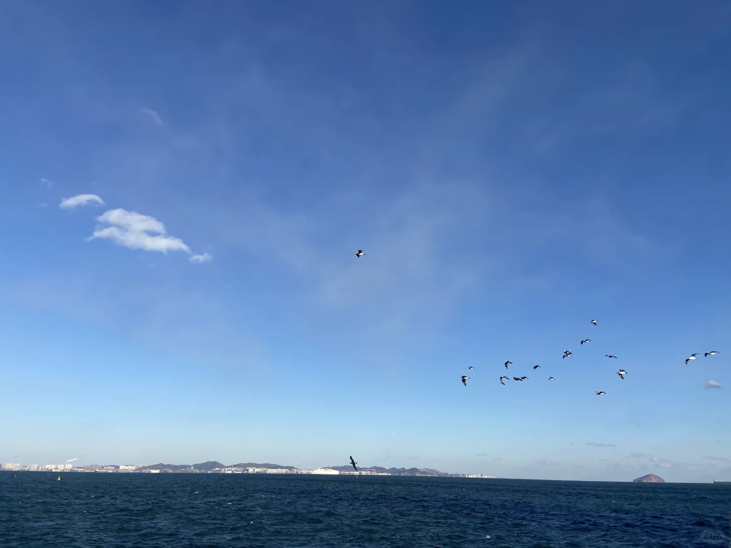 十二月初的大连海边这样穿