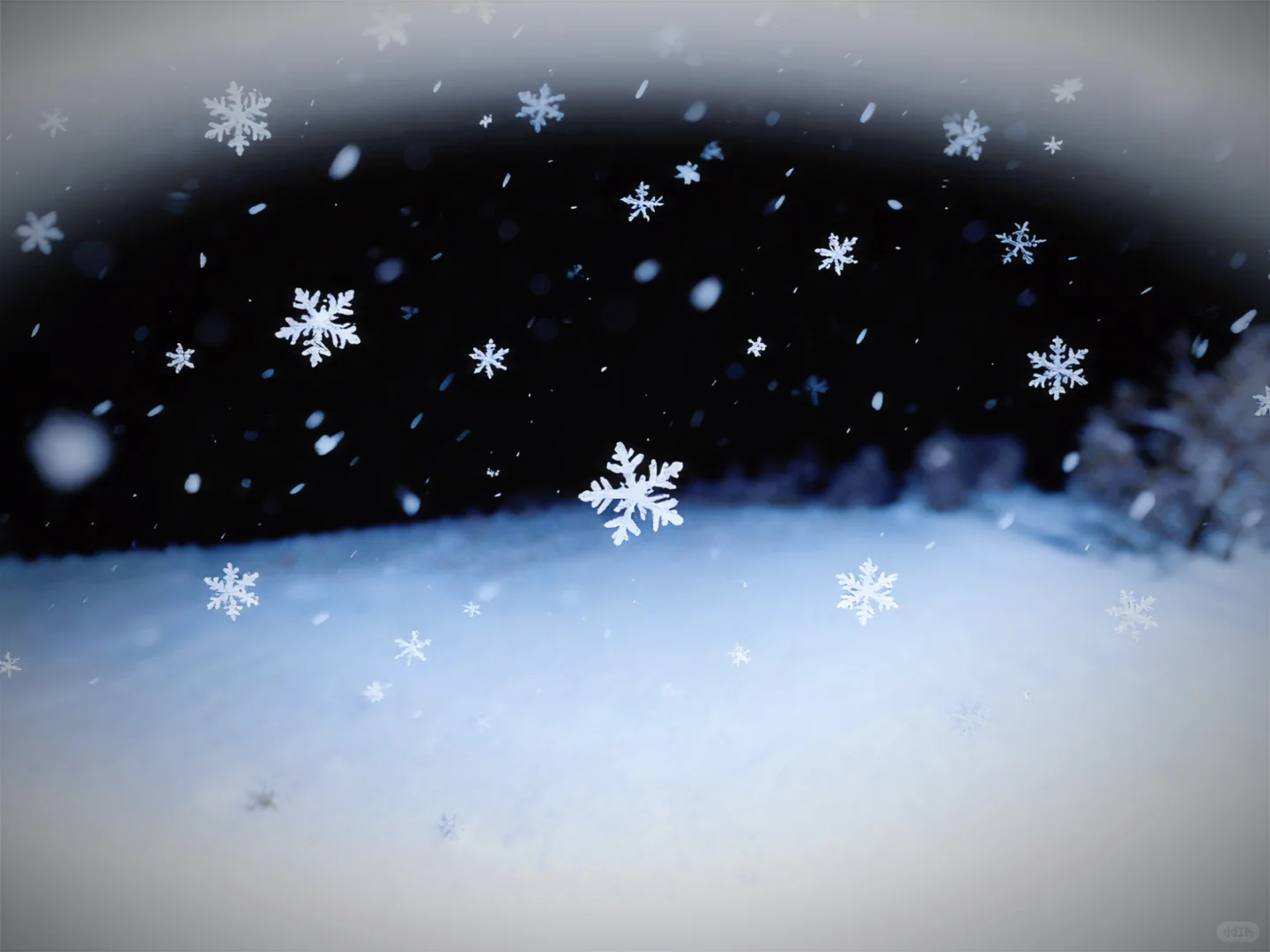 冬日序曲∙氛围感壁纸