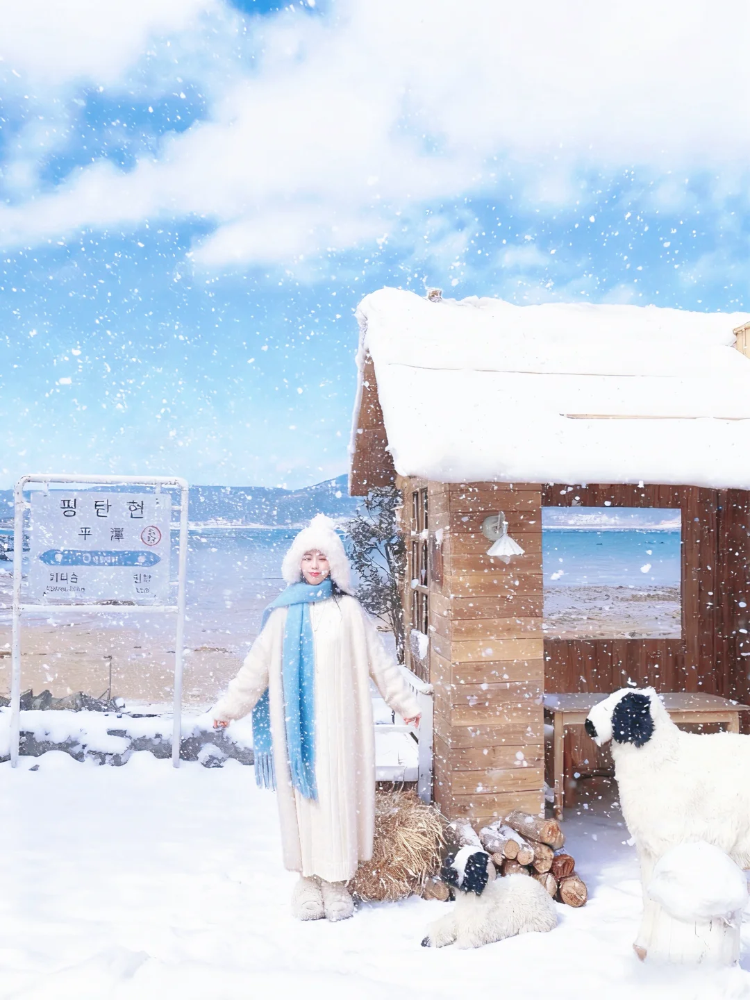 别去北海道了！福州海边咖啡厅实现玩雪自由