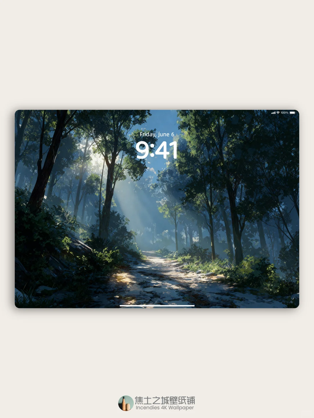 壁纸 | 阳光洒满静谧的森林