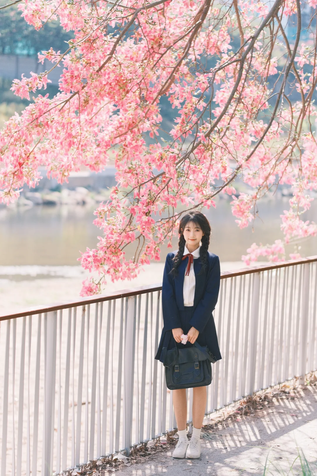深圳观澜异木棉花海🌸jk制服少女写真