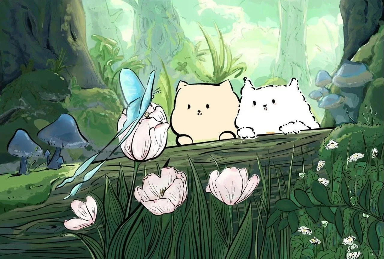 Share｜超高清电脑壁纸