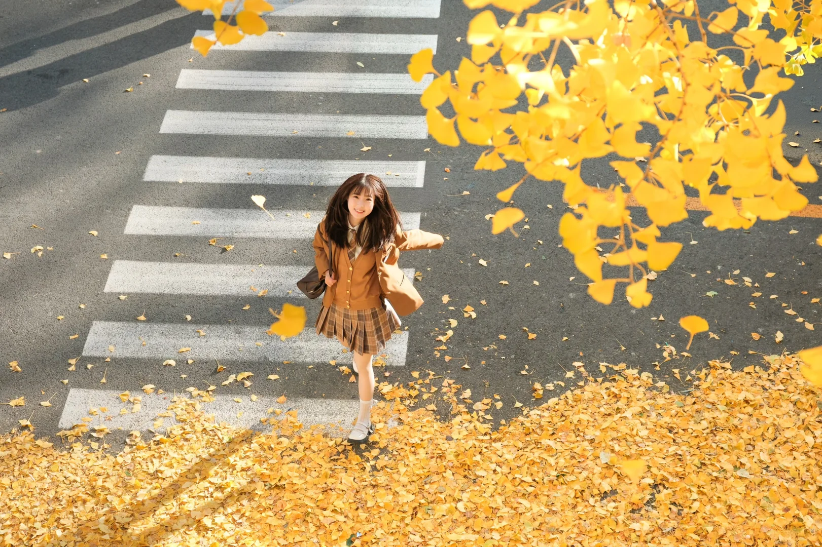 要和我一起走秋天的街吗？🍂