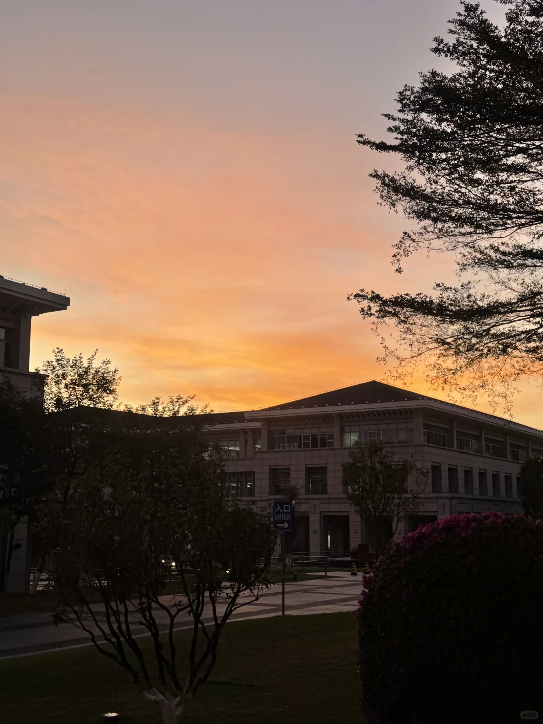 学游泳！找女教练！