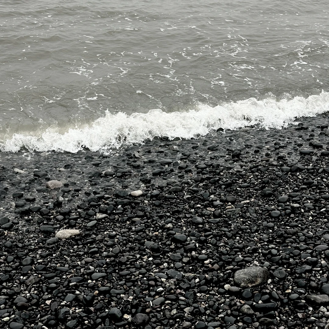 白月光的海边我占了‼️