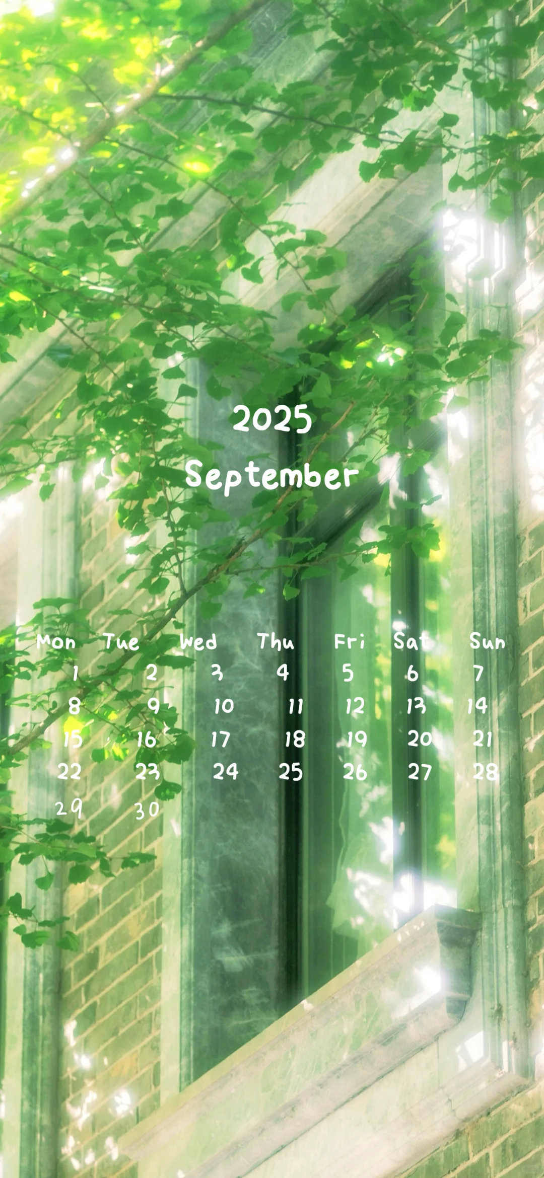 📆日历壁纸𝐒𝐡𝐚𝐫𝐞 ◡̈°｜阳光正好