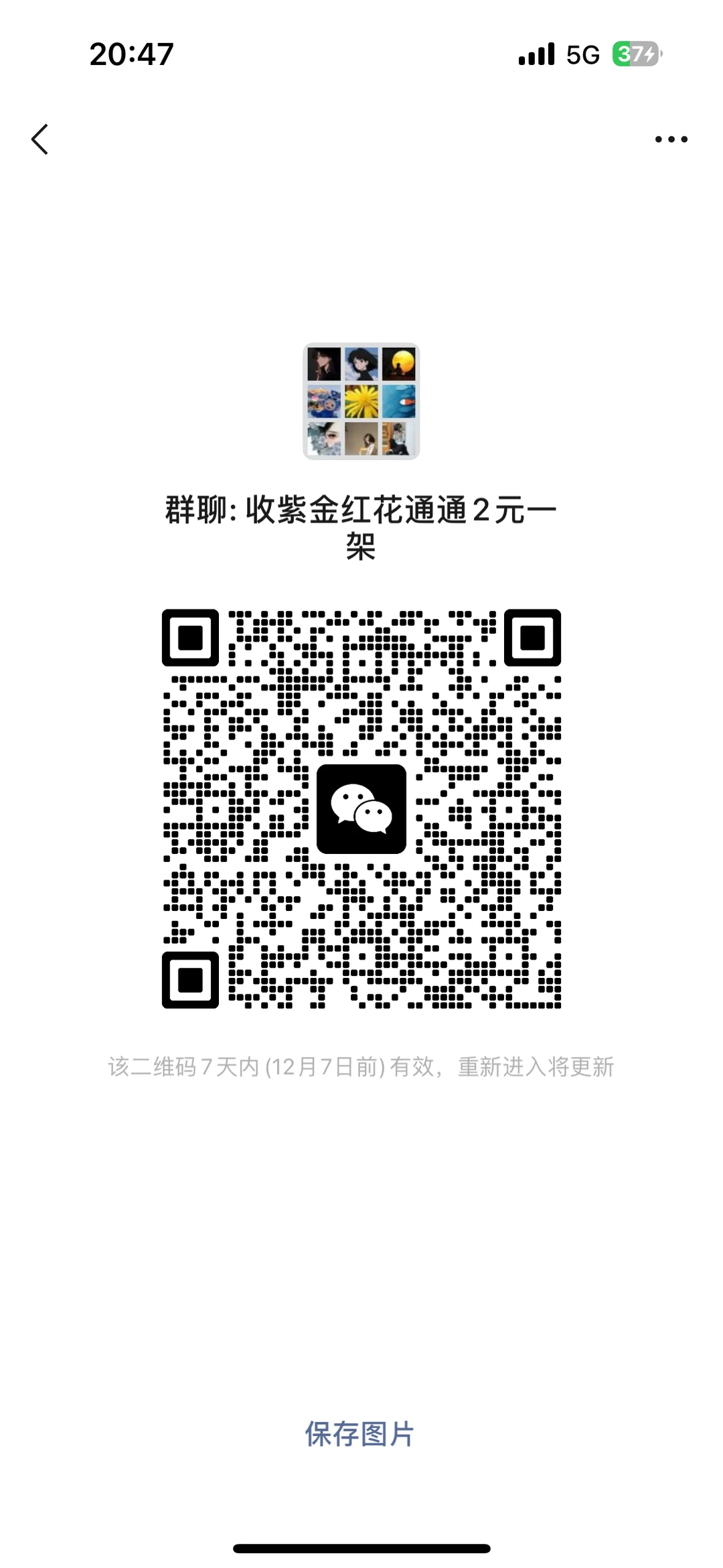 花园卖花买花交流群