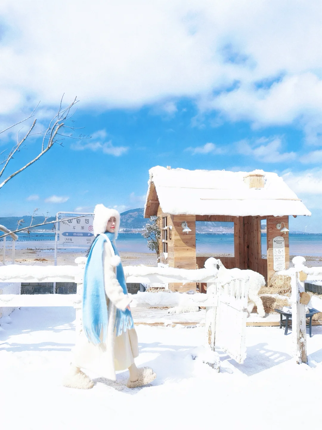 别去北海道了！福州海边咖啡厅实现玩雪自由