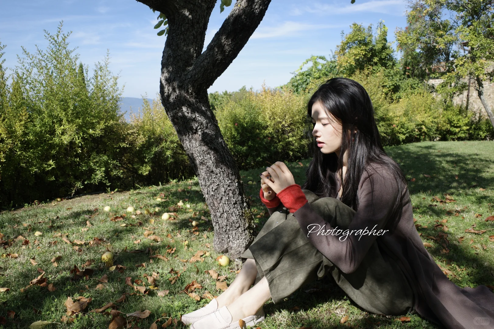 Ipad壁纸/生命力