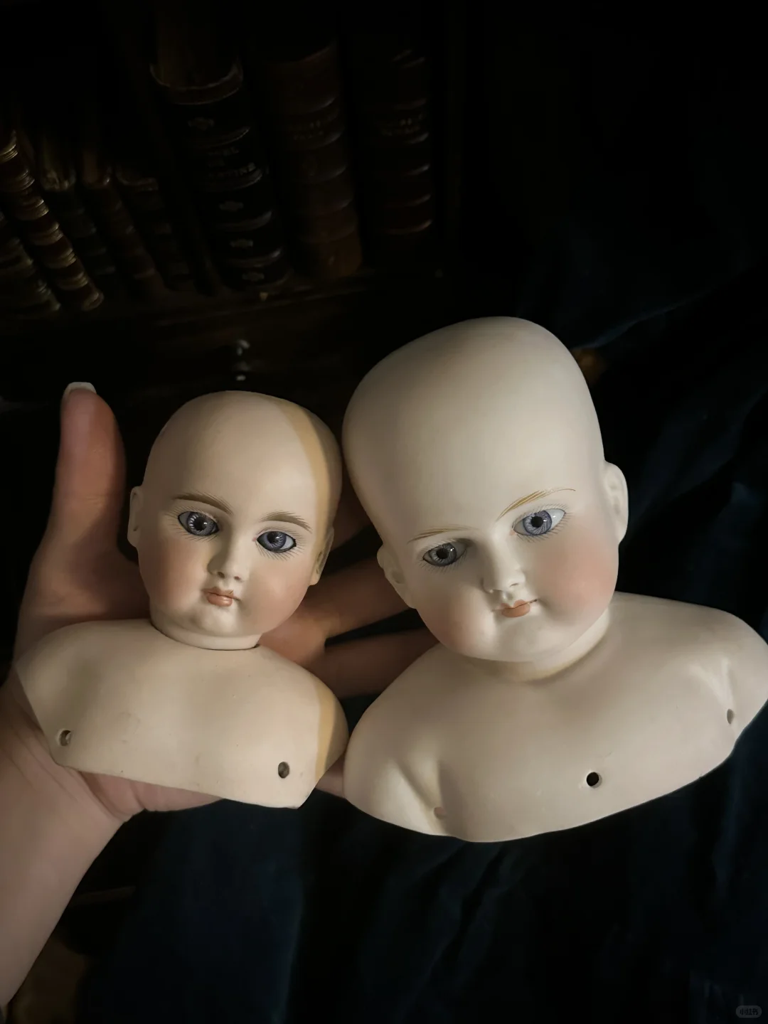 这么美的脸我居然有两个