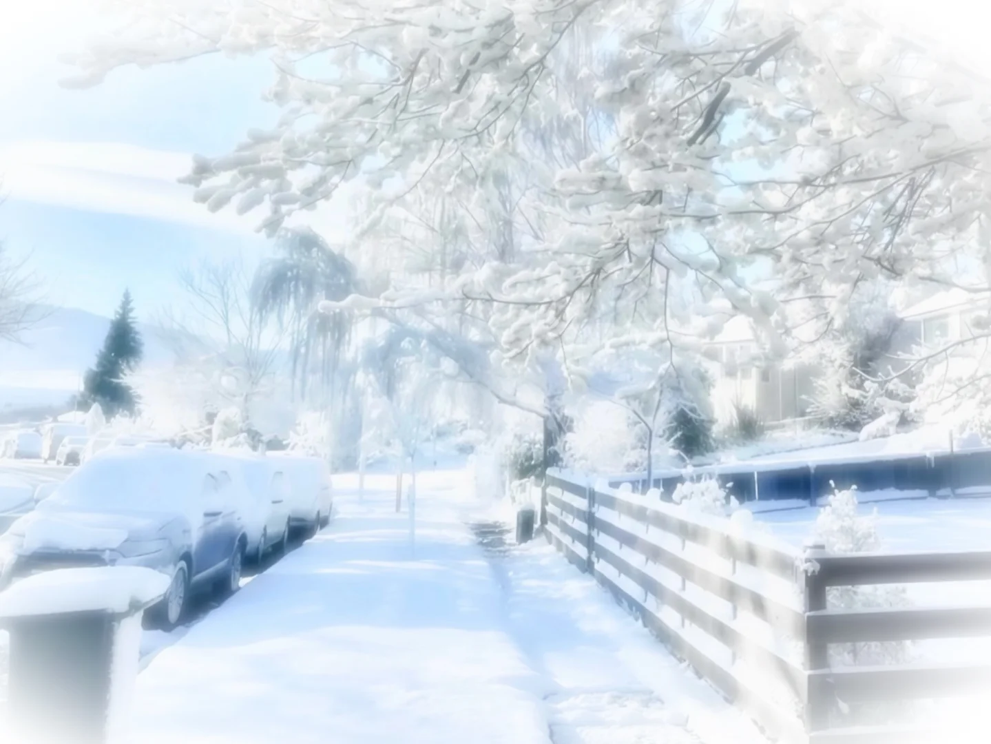 冬日序曲∙氛围感壁纸