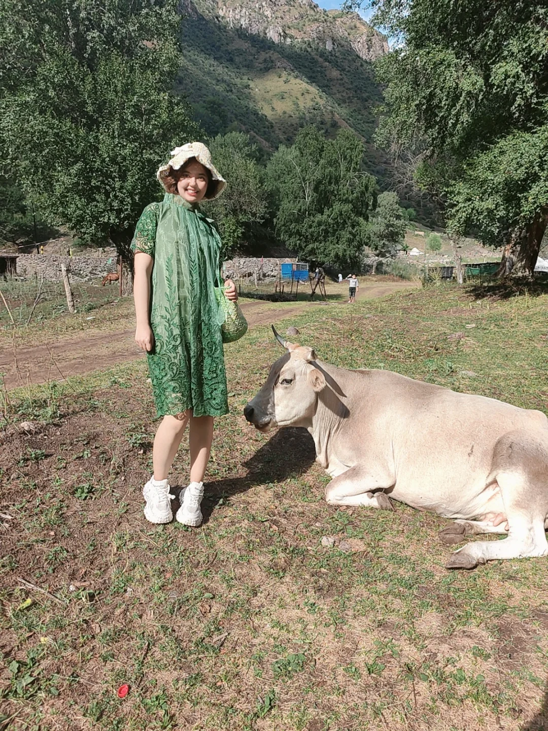 喜欢绿绿的夏🌿🍃