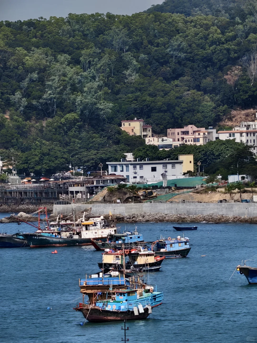 广东的冬天真的很适合去海边！