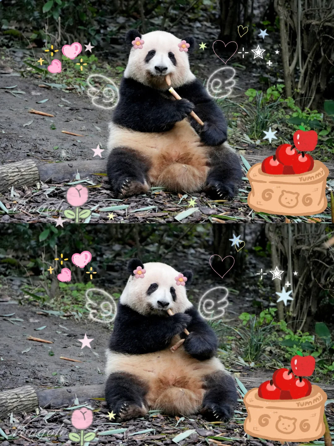 可爱漂亮的天使宝宝😇