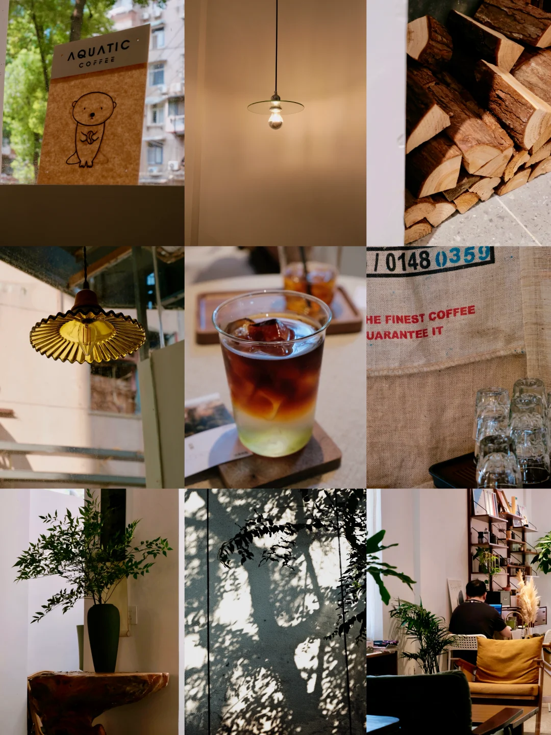 武汉｜水森执物