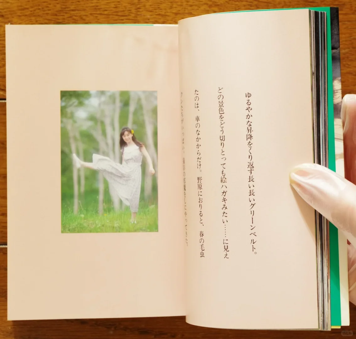 这就是昭和时期的美吗