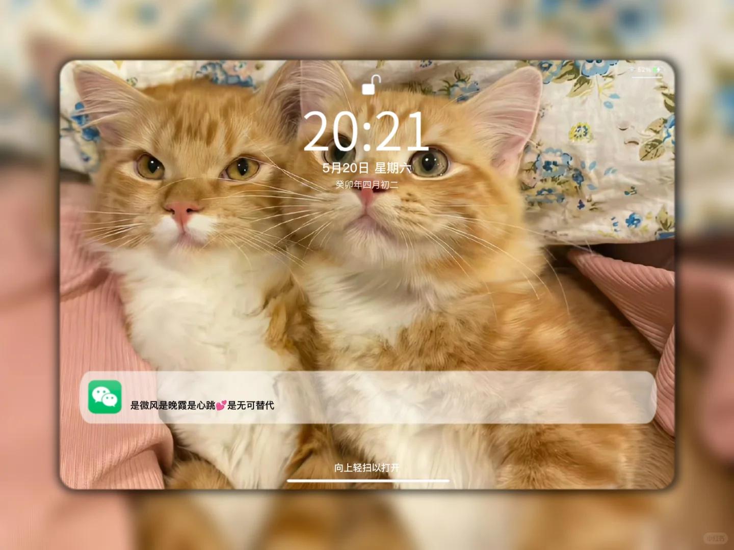 095|壁纸| 好喜欢这个壁纸呀！