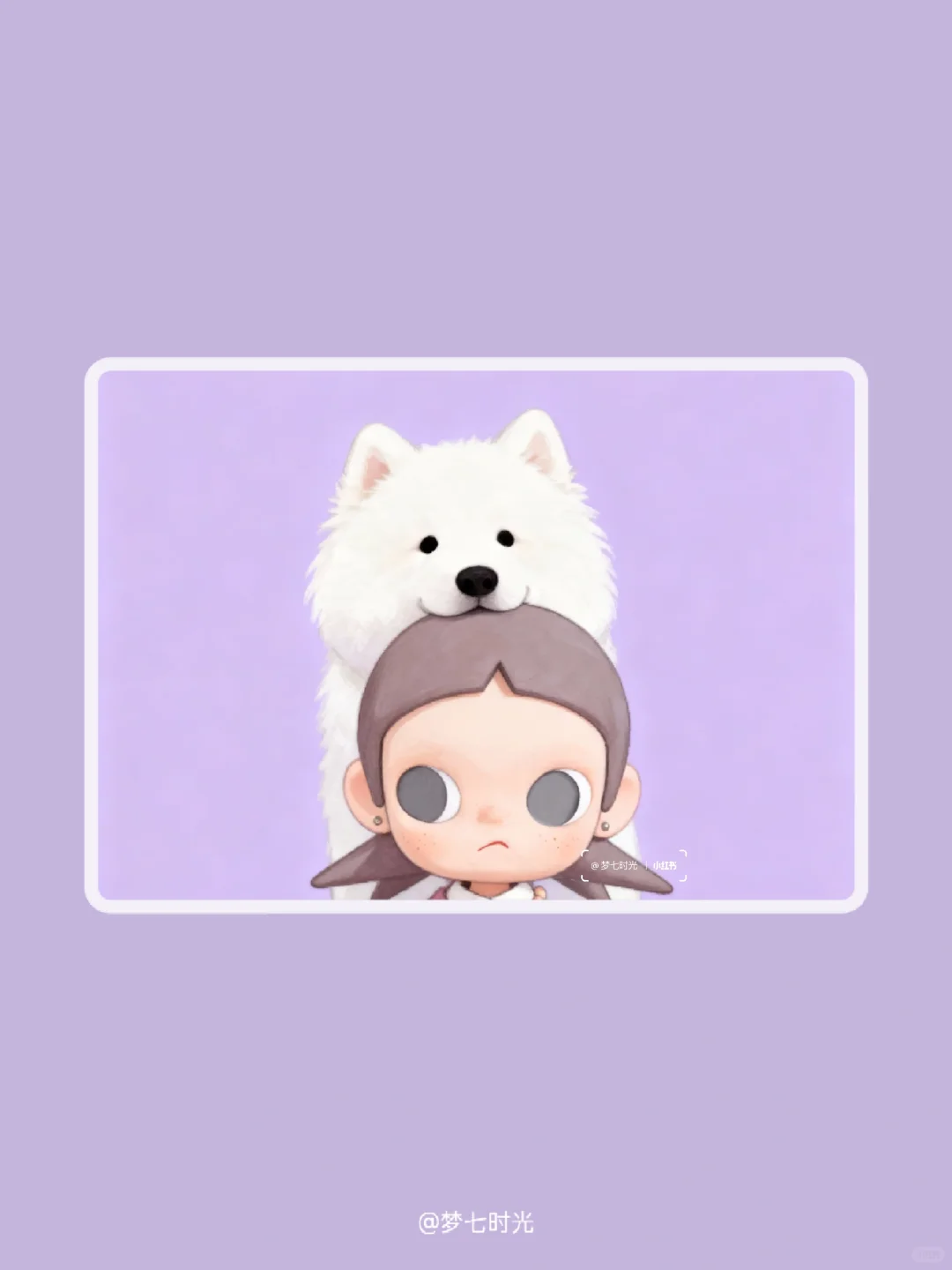 ipad壁纸|Zsiga·萨摩耶耶🐶＃153