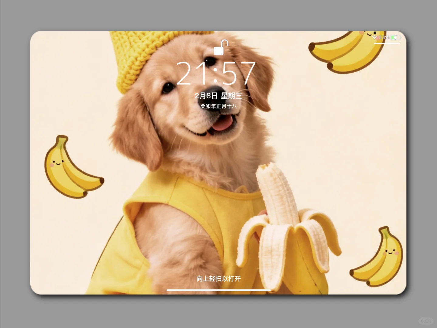 平板壁纸 | 每天的好心情就是打开一副美图