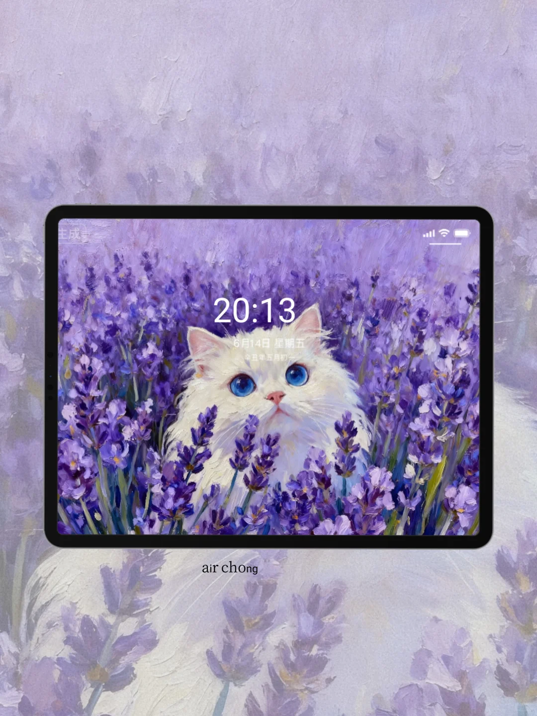平板壁纸 | 这片薰衣草里有只小猫～