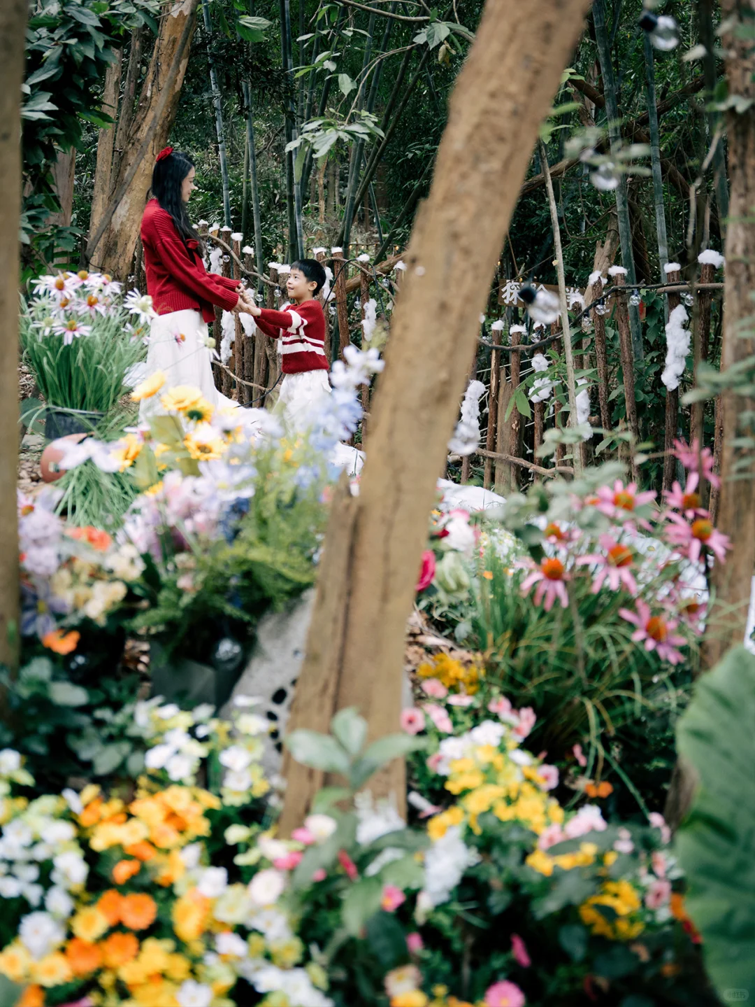在东莞！这个森林营地氛围感拉满🎄