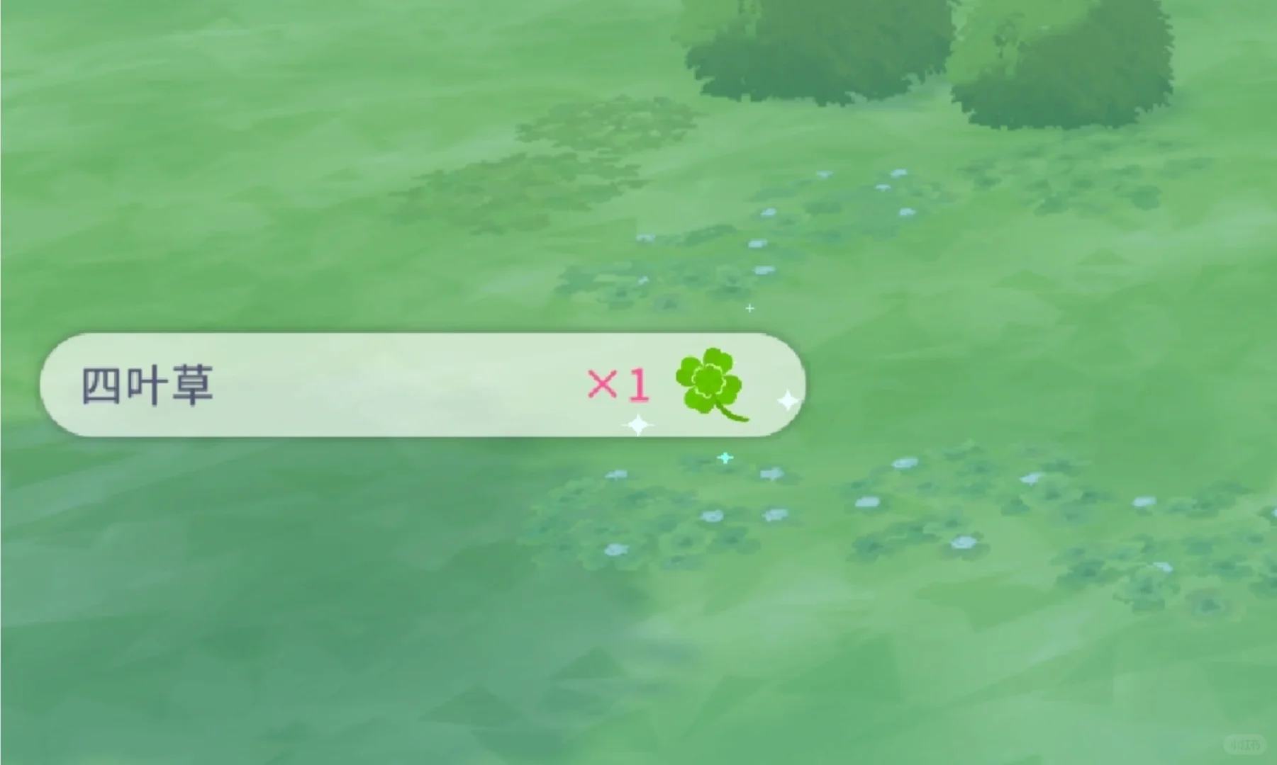 在同一天遇到了一个夕桐三个四叶草