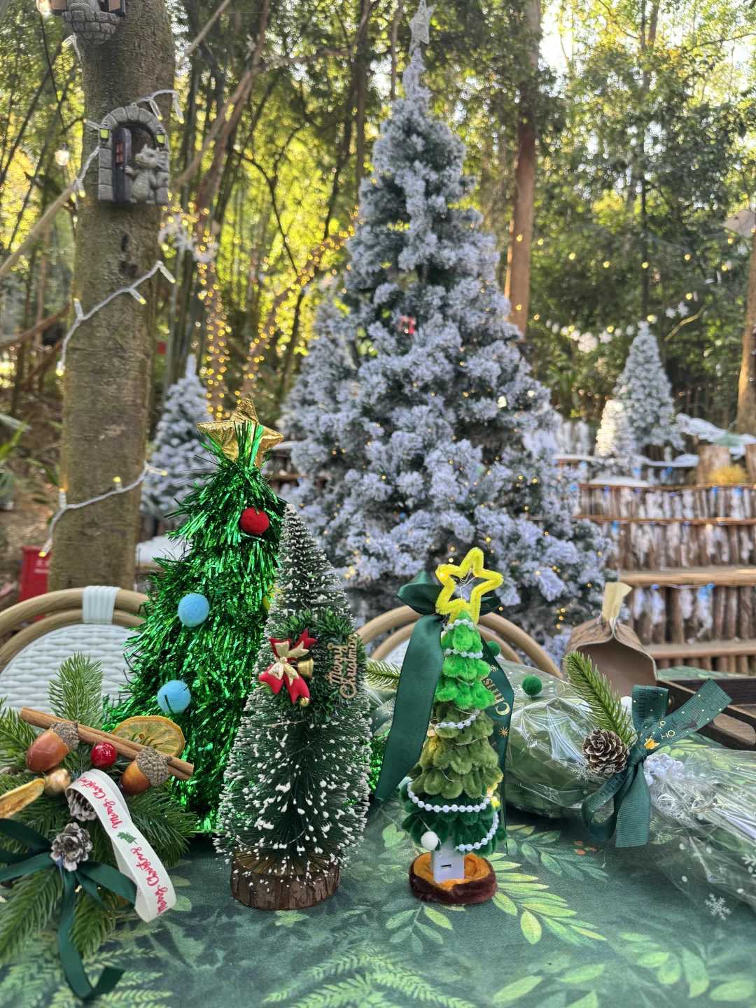 🎄圣诞氛围已拉满…