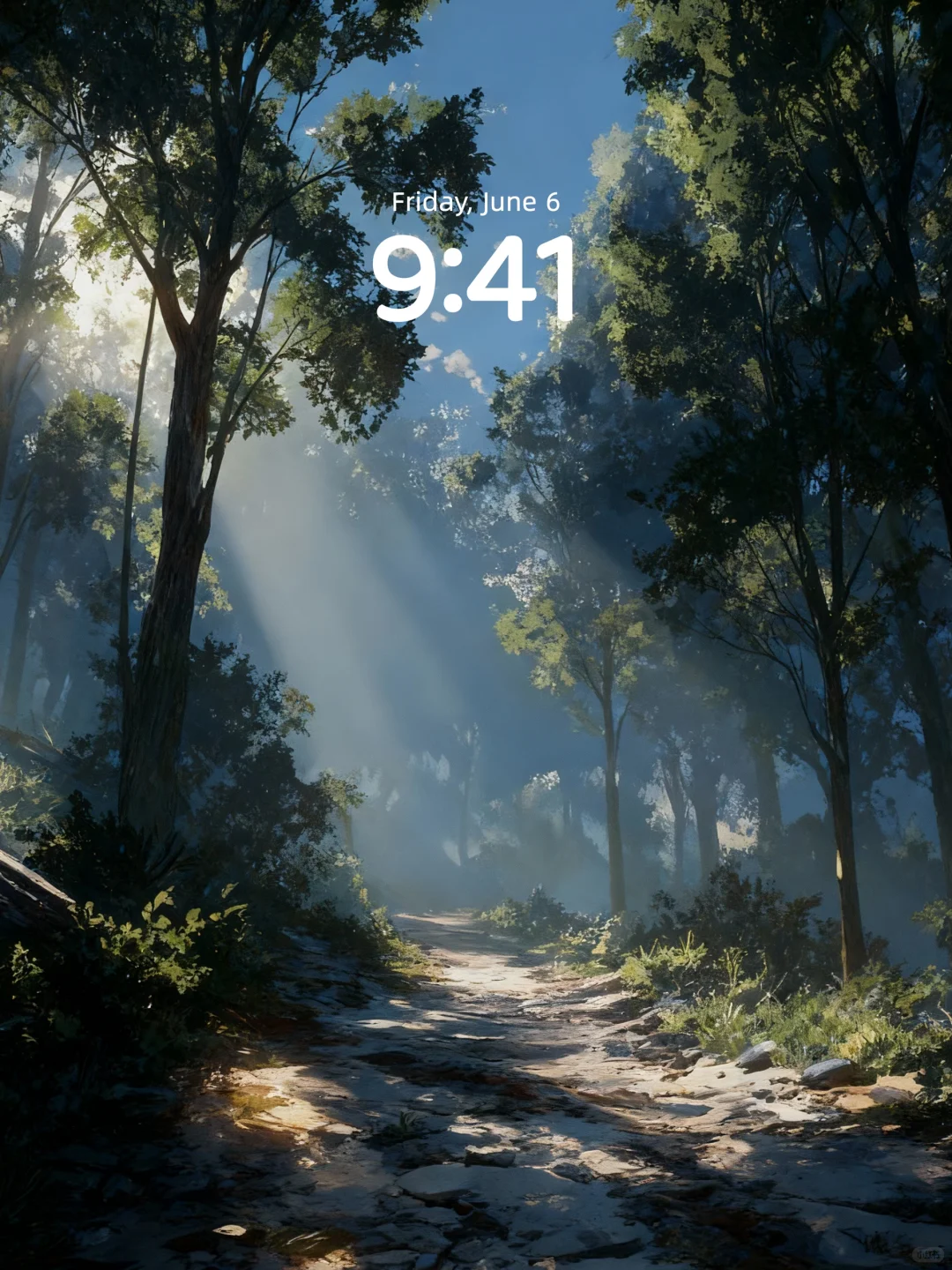 壁纸 | 阳光洒满静谧的森林