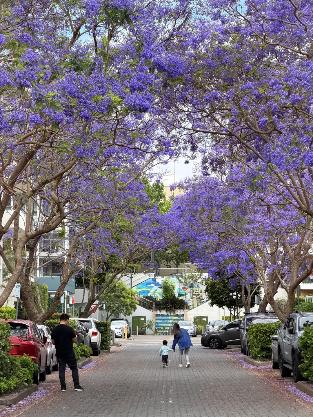 🇦🇺跑步日记