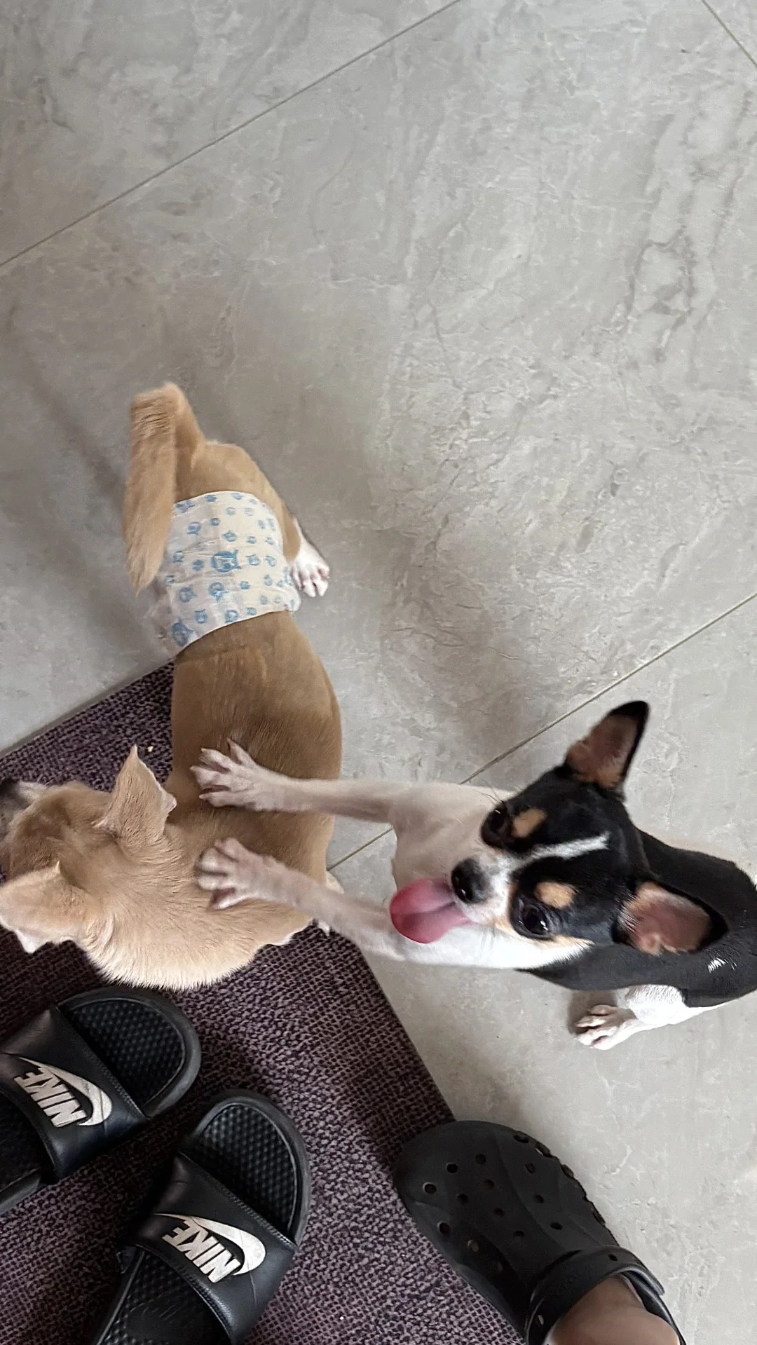 04年健身女教练日常～