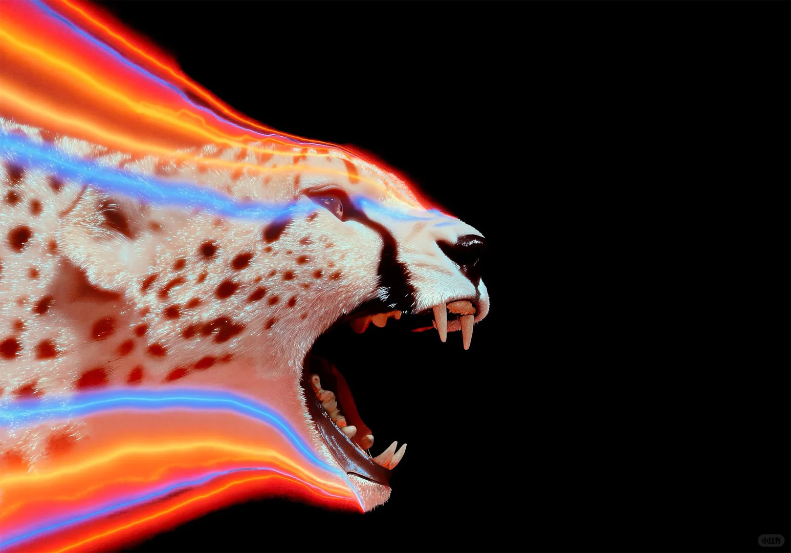 iPad｜审美锁屏壁纸